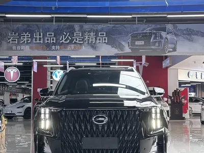2022 GAC Trumpchi Trumpchi GS8 Hybrid Series 2.0TM 4WD Premium Edition (7-Seater), фото 3, лот 11191506