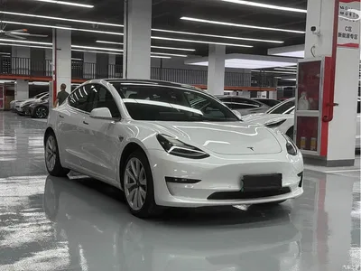 2019 Tesla Model 3 Standard Range Rear-Wheel Drive Upgrade, фото 3, лот 10371811