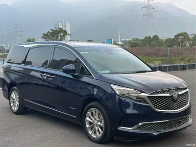 2021 Buick GL8, фото 3, лот 10242456