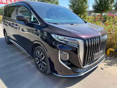 2023 Hongqi HQ9 2.0T Smart Connect Flag Enjoy Edition, фото 3, лот 10479291