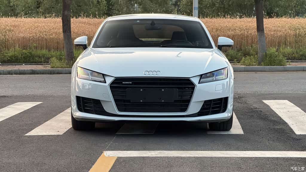 2015 Audi TT Coupe 45 TFSI quattro, фото 2, лот 10474775
