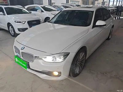 2018 BMW 3 Series 320Li Fashion Style, фото 1, лот 10888485