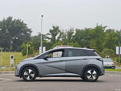 2023 BYD Dolphin 420km Fashion Edition, фото 3, лот 10257028