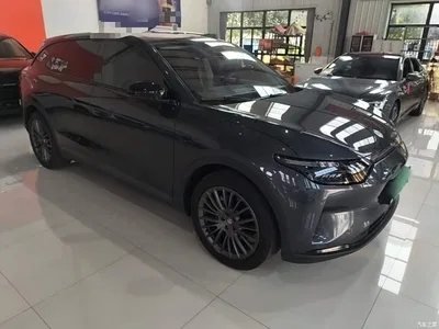2023 Leapmotor C11 Pure Electric 500 Comfort Edition, фото 4, лот 10442041