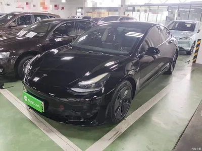 2022 Tesla Model 3 Model Rear-Wheel Drive Version, фото 2, лот 11191355