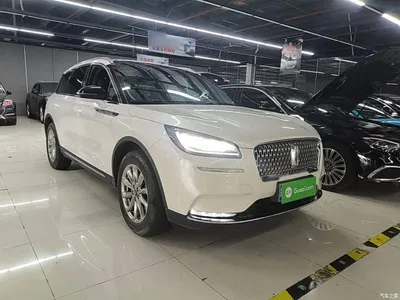 2020 Lincoln Adventurer 2.0T 2WD Premium Enjoyment Edition, фото 4, лот 10357568
