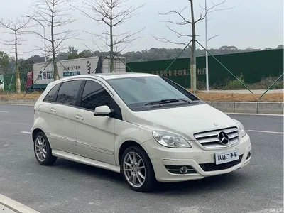2009 Mercedes-Benz B-Class B 200 Luxury, фото 3, лот 10287521