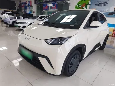 2024 BYD Seagull Glory Edition 305km Vitality Edition, фото 2, лот 10262945