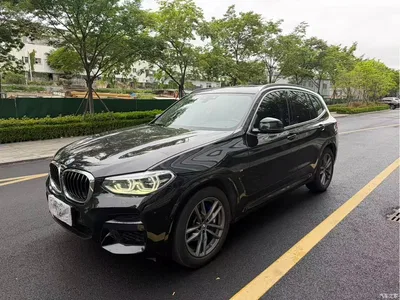 2020 BMW X3 xDrive25i M Sport Package, фото 1, лот 10461484
