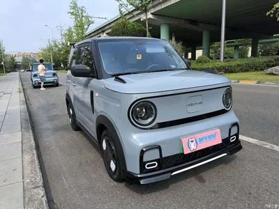 2025 Geely Galaxy Panda Model Year 210km Panda Kart, фото 3, лот 10431374