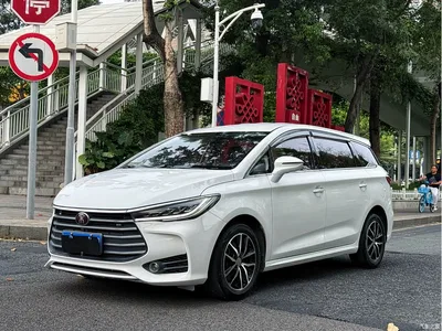 2018 BYD Song MAX 1.5T Auto Smart Connected Premium 7-Seater, фото 1, лот 10274797