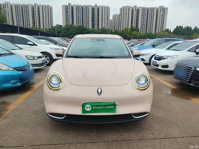 2021 Ora Good Cat 400km Standard Range Athena Edition (LFP), фото 3, лот 11181182