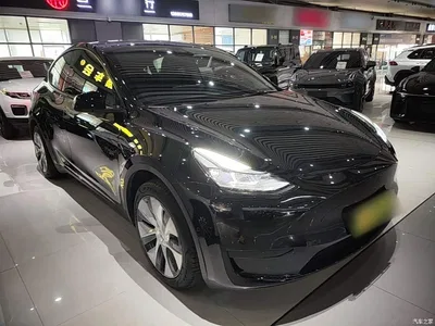 2022 Tesla Model Y Facelift Rear-Wheel Drive Version, фото 4, лот 10455371