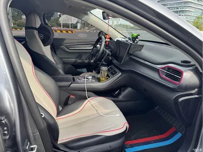 2023 BYD Destroyer 05 Champion Edition DM-i 55KM Premium, фото 4, лот 10257492