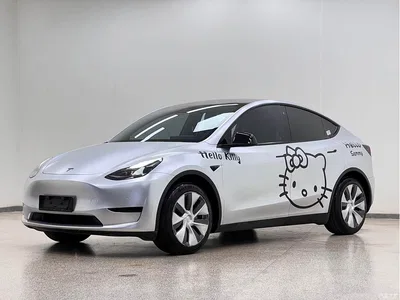 2022 Tesla Model Y Facelift Rear-Wheel Drive Version, фото 1, лот 11190301