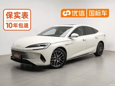 2025 BYD Seal 07 DM-i Model DM-i 1.5L 125km Luxury, фото 1, лот 11523844