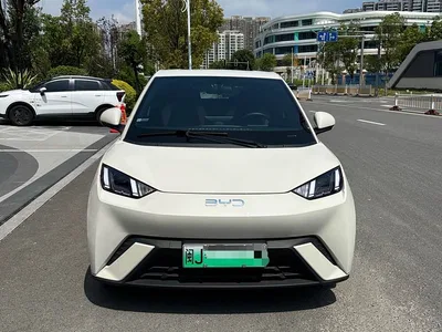 2024 BYD Seagull Glory Edition 305km Freedom Edition, фото 1, лот 10606543