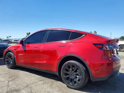 2023 TESLA MODEL Y, фото 2, лот 10855762