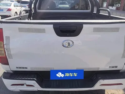 2021 Great Wall Pao 2.0T Commercial Edition Manual Gasoline 2WD Elite Standard Box GW4C20B, фото 4, лот 10246000
