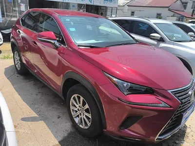 2018 Lexus NX Model 300 FWD Fengxing Edition, фото 4, лот 10319387