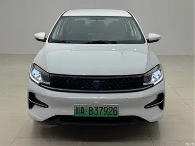 2024 Dongfeng Fengxing S60EV Commercial Operation Model, фото 1, лот 11165989