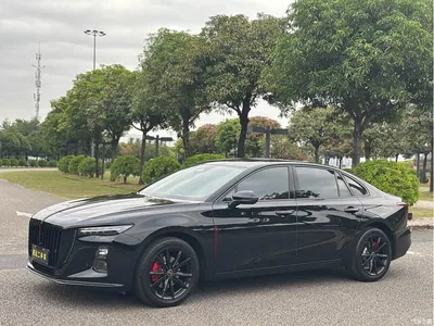 2025 Hongqi H5 2.0T Automatic Mystic Shadow, фото 1, лот 11582793