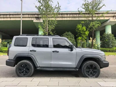 2021 Tank 300 Off-road Version 2.0T Conqueror, фото 4, лот 10344728
