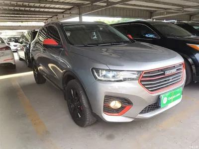 2019 Haval H4 1.5GDIT Pro Edition China VI, фото 4, лот 10287107