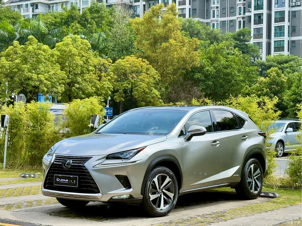 2018 Lexus NX Model 300h AWD Fengzhi Edition China V, фото 1, лот 11203632