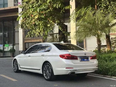2018 BMW 5 Series Facelift 530Li Exclusive Luxury Package, фото 4, лот 11212426
