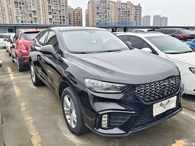 2020 WEY VV5 1.5T 2WD Style Pioneer, фото 3, лот 11249760