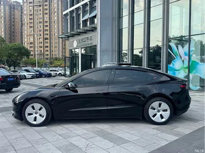 2021 Tesla Model 3 Standard Range Rear-Wheel Drive Upgrade, фото 3, лот 11211426