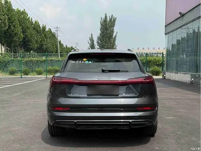 2019 Audi e-tron (Import) 55 quattro Technology, фото 4, лот 10474579