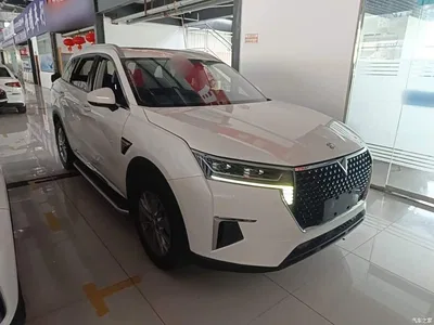 2020 Venucia Star 260T Automatic 48V Mild Hybrid Turbo Star Enjoy Edition, фото 4, лот 11153556