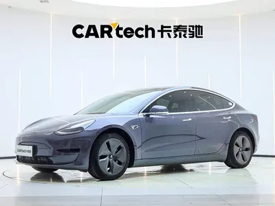 2020 Tesla Model 3 Standard Range Rear-Wheel Drive Upgrade, фото 1, лот 10346271