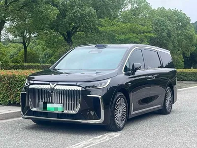 2025 Voyah Auto Voyah Dreamer PHEV AWD Flagship Qian Kun Edition, фото 1, лот 10358388