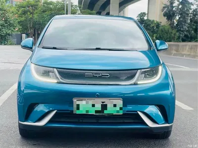 2021 BYD Dolphin 405km Freedom Edition, фото 3, лот 10245953