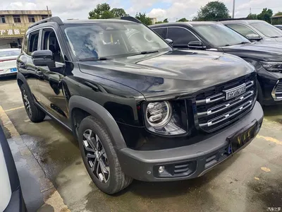 2022 Haval Big Dog 1.5T DCT FWD Malinois Edition, фото 3, лот 10415744