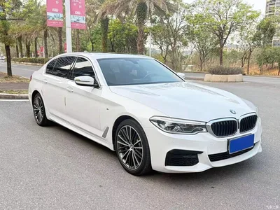 2020 BMW 5 Series 530Li Leading M Sport Package, фото 2, лот 10882572