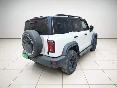 2021 Tank 300 Off-road Version 2.0T Conqueror, фото 4, лот 10993665
