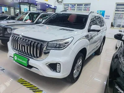 2022 Haval H9 2.0T Gasoline 4WD Premium 5-seater, фото 1, лот 10286278