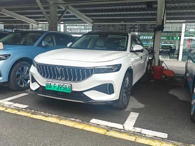 2021 Voyah Auto VOYAH FREE AWD Standard Range Extender Exclusive Luxury Package, фото 1, лот 11204570