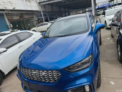 2021 WEY VV5 1.5T 2WD Style Pioneer, фото 3, лот 10383165