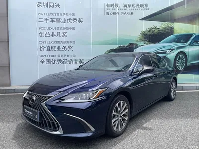 2022 Lexus ES 200 Excellence Edition, фото 1, лот 10441696