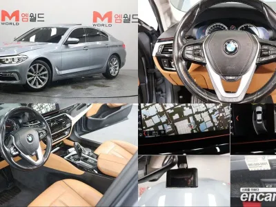 2018 BMW 5-Series 520i Luxury, фото 1, лот 10210174
