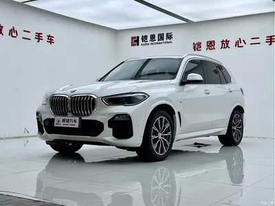 2019 BMW X5 (Import) xDrive40i M Sport Package, фото 1, лот 11178635