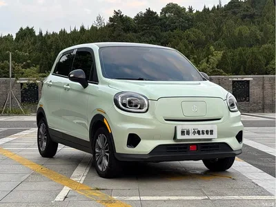2024 Leapmotor T03 403 Comfort Edition, фото 3, лот 10479063
