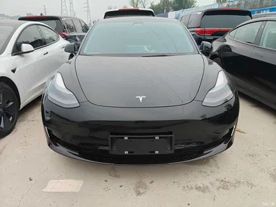 2023 Tesla Model 3 Rear-Wheel Drive, фото 2, лот 11134612