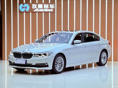 2020 BMW 5 Series 530Li Leading Luxury Package, фото 1, лот 11569750