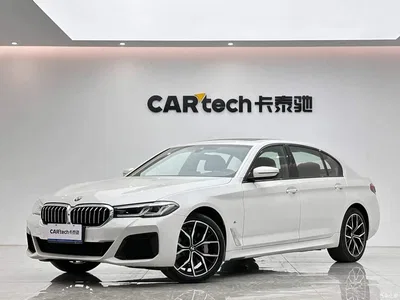 2022 BMW 5 Series Facelift II 530Li Premium Package M Sport, фото 1, лот 11569774